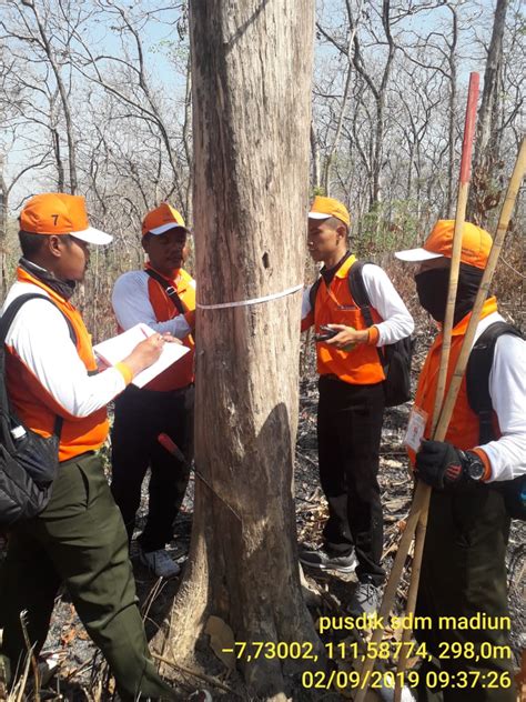 Inventarisasi hutan | S1 | Terakreditasi - STEKOM - raincitystudios.com