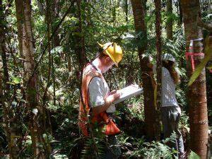 Inventarisasi Tegakan Hutan Indonesia - IPPKH - raincitystudios.com