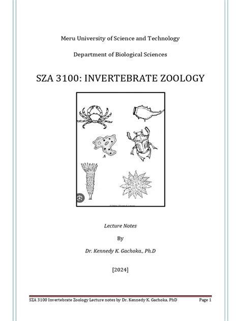 Invertebrate Zoology - an overview | ScienceDirect Topics - raincitystudios.com