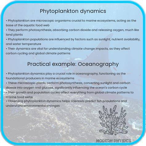 Investigating biophysical control of marine phytoplankton dynamics via ... - raincitystudios.com