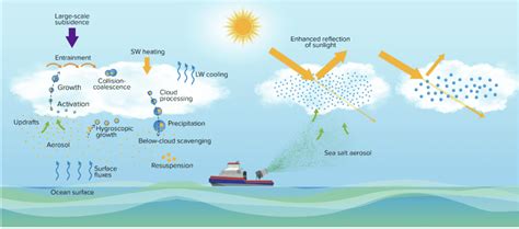 Investigation of Aerosol Impacts on Fog Formation in the Marine ... - raincitystudios.com