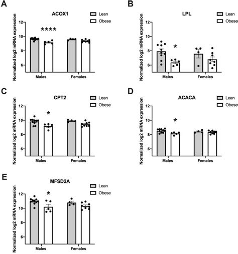 Investigation of Fatty Acid Metabolism-Associated Molecular CPOX ... - muktibox.com