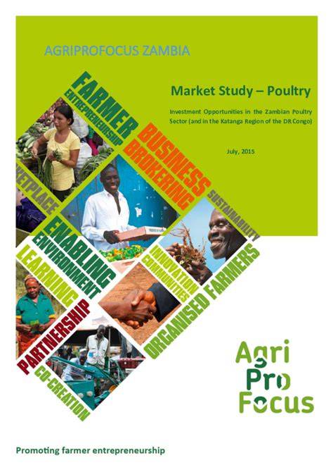 Investment Opportunities in Zambian Poultry - Scribd - raincitystudios.com