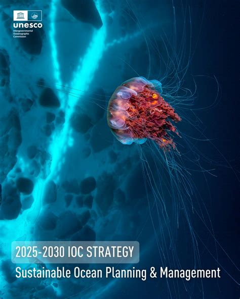 IOC Sustainable Ocean Planning and Management - raincitystudios.com