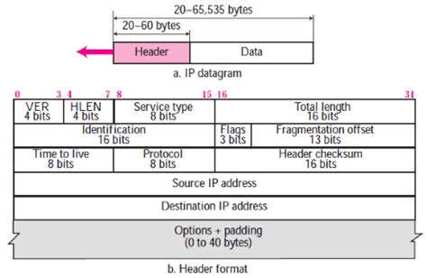 IP Full Form & IP Meaning What Is IP? & Why is IP Important? Learn2Win