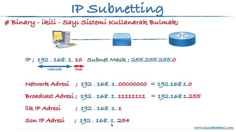 codini.rgarabwor.edu.pl. 