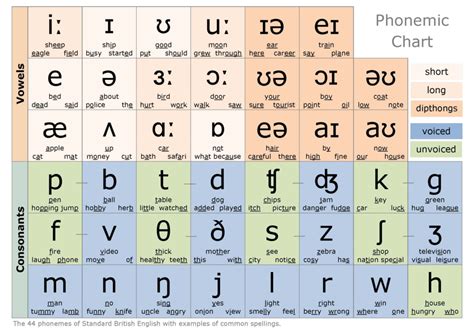 IPA - Bab 5 : Klasifikasi Makhluk Hidup - flashcard | Quizlet - muktibox.com