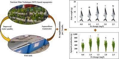 Iron supplementation in aquaculture wastewater and its effect on the ... - raincitystudios.com