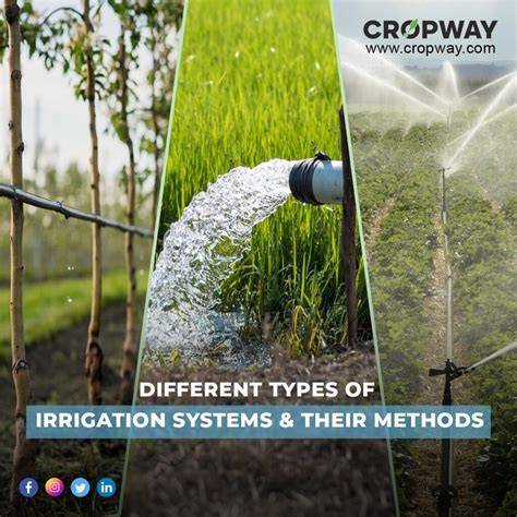 Irrigation system history, how did it all started | Mottech - raincitystudios.com