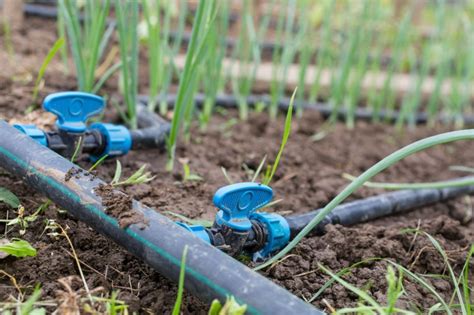 Irrigation System Selection for Farmers: Drip, Sprinkler, or ... - raincitystudios.com