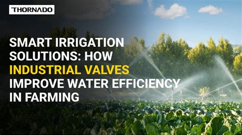 Irrigation Valves for Precision Farming | Netafim India - coolestguyplanet.net