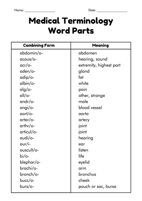 IRSC Medical Terminology Chapter 1 Flashcards Quizlet