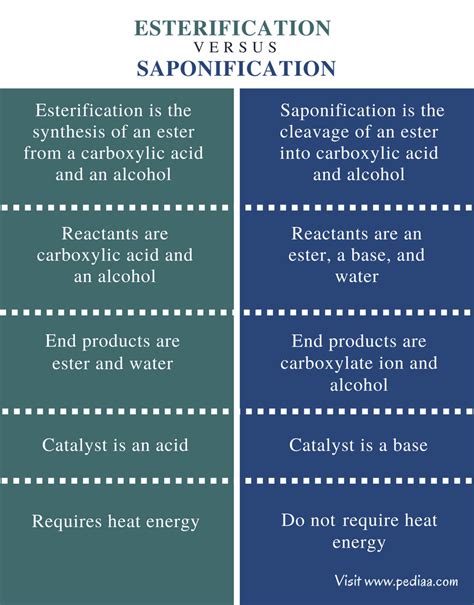 Is Esterification And Saponification Same - wintechmobiles.com