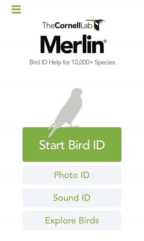 Is there a similar app for marine species, like we have merlin id for ... - raincitystudios.com
