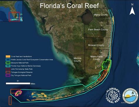 Is There Coral Reefs In Florida - wintechmobiles.com