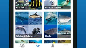 iSea Marine ID - raincitystudios.com