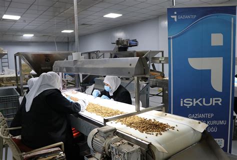 codini.rgarabwor.edu.pl. 