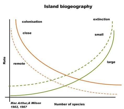 Island Biogeography Theory: AP Environmental Science Study... - muktibox.com
