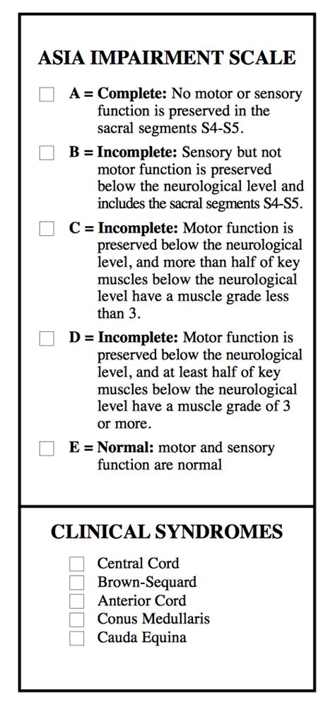 ISNCSCI Algorithm Calculator to score the ASIA Impairment …