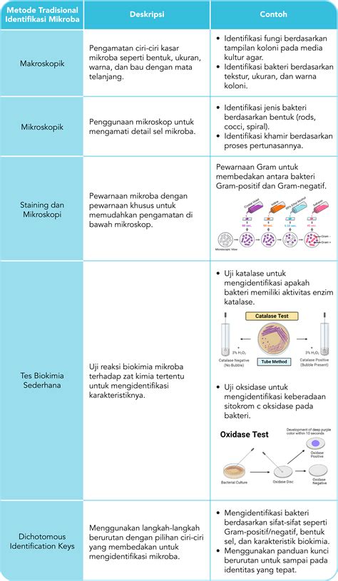 isolasi dan identifikasi - Journal of Universitas Airlangga - muktibox.com