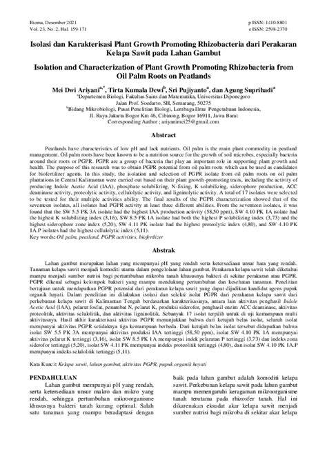 Isolasi dan Karakterisasi Plant Growth Promoting Rhizobacteria dari ... - raincitystudios.com