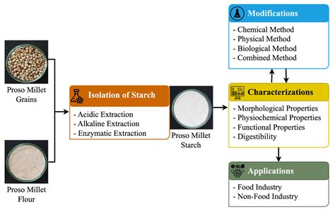 ISOLATION AND CHARACTERIZATION OF STARCH …