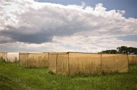 Isolation Methods - SeedSavers - raincitystudios.com