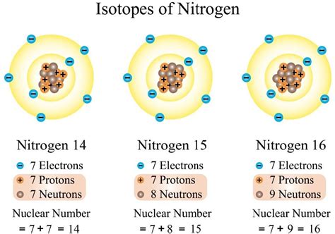Isotopes of nitrogen - wintechmobiles.com
