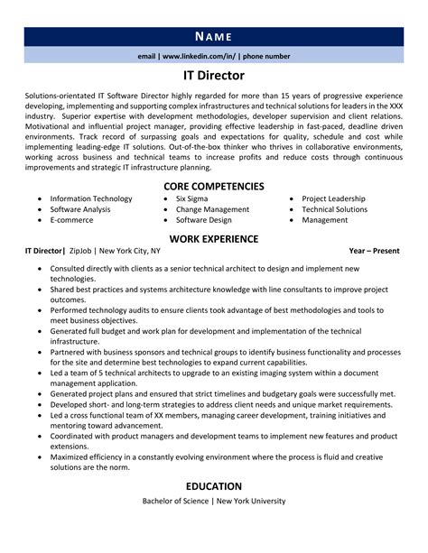 IT Director Resume Example
