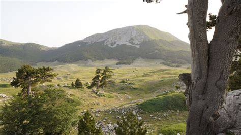 Italy's Largest National Park Is A Mountain Gem With Scenic Waterfalls ... - raincitystudios.com