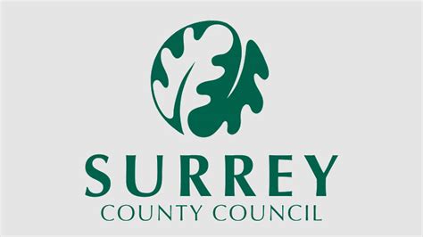 ITEM 11 s - surreycc.gov.uk