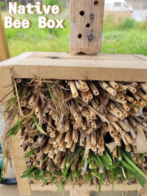 Items Native Bee Boxes - Hivecraft - raincitystudios.com