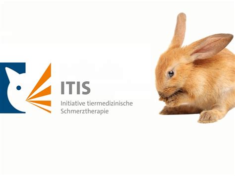 ITIS - Report: Coelioxys pruinosus - muktibox.com