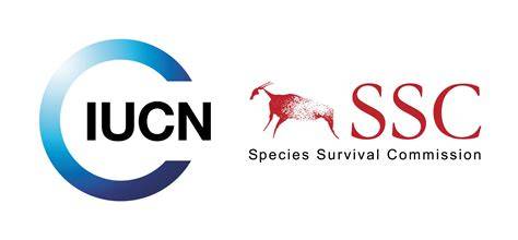 IUCN SSC - raincitystudios.com