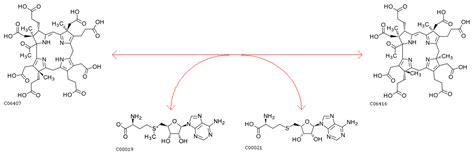 IUPAC - reactive adsorption (R05181)