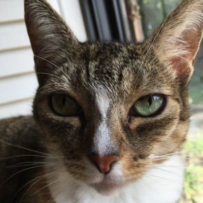 🍌 Iamlexyrose Leaked [CLIP]