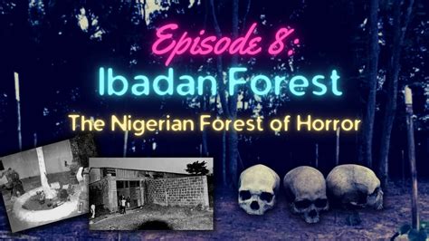 Ibadan forest of horror. The Forest of Horror - The ancient city of Ibadan, Nigeria has been playing host to the theatre of the absurd. Things have taken a dizzying pace. The focus on the city was on the unusual discoveries- mangled, decomposing bodies, human parts and walking corpses that people have been turned into. 