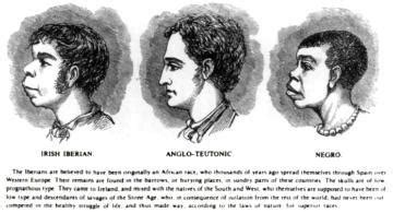 Iberian facial features. Physical characteristics of Basque people include flat noses with bumps, pale skin with dark hair, heights that are either very tall or very short, and very high concentrations of the very rare O negative blood type. Stereotypical character traits of Basque people include toughness, perseverance, loud talking, tendencies toward drinking ... 
