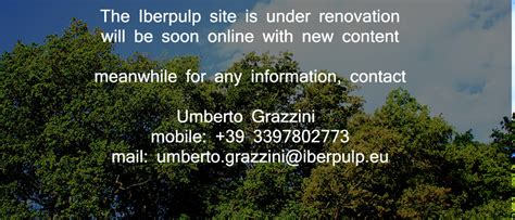 Iberpulp Srl - Quanto Fattura?