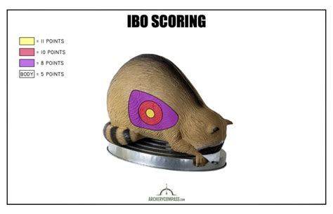 Ibo targets.  The 3D discipline gets its name from the three-dimensional anim...