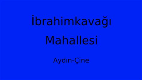 Ibrahimkavagi Halı ve Koltuk Yıkama