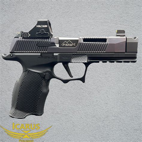 Icarus 365. In my opinion this is the ultimate Sig Sauer P365, watch the video & read below. Grip module- Icarus precisionLight- Streamlight TLR7aDot- Holosun 507kComp- ... 