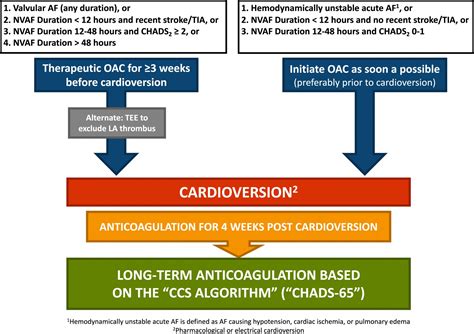 Icd 10 Code For Status Post Ablation Of Atrial Fibrillation