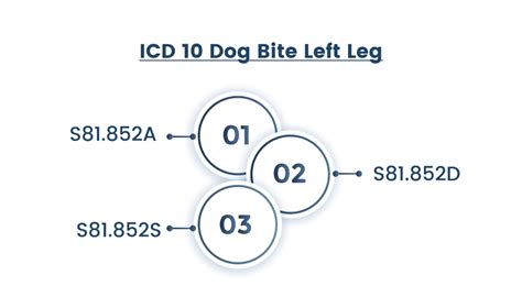 Icd 10 dog bite. * ICD-10-CM code Z23, Encounter for Immunization, is reported for all vaccines given within an encounter; additional ICD-10-CM coding may be needed. 2 † Note that some payers require an 11-digit NDC, which involves adding a "0" immediately after the first hyphen in each GSK NDC. 7 For example, when reporting NDC 58160-820-11 to … 