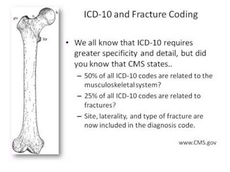 Icd 10 multiple fractures. S22.49XD is a billable diagnosis code used to specify a medical diagnosis of multiple fractures of ribs, unspecified side, subsequent encounter for fracture with routine healing. The code is valid during the current fiscal year for the submission of HIPAA-covered transactions from October 01, 2023 through September 30, 2024. 