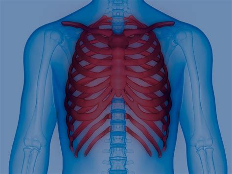 Icd rib pain. Things To Know About Icd rib pain. 