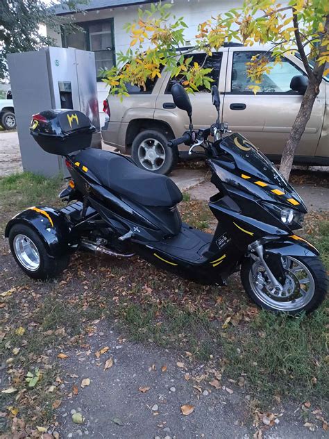 Ice bear trifecta.  We&rsquo;ll even ship your order right to your door FREE of charg...