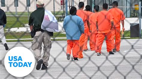 Ice immigration detainee search. Things To Know About Ice immigration detainee search. 