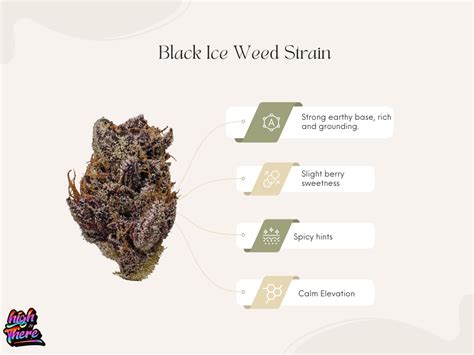 Ice og strain.  This strain produces sedating effects accompanied with a bod...