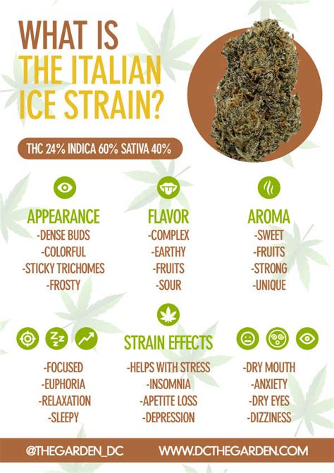 Ice strain taste. .  <a href=https://mpwt.manifestlao.com/assets/images/zhdwmw/in...